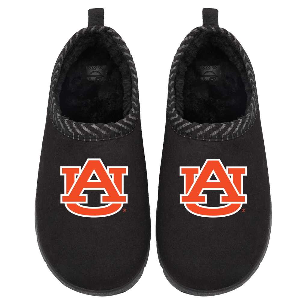 Auburn Tigers Primary Logo Mission