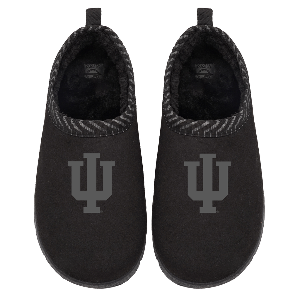 Indiana Hoosiers Tonal Logo Mission