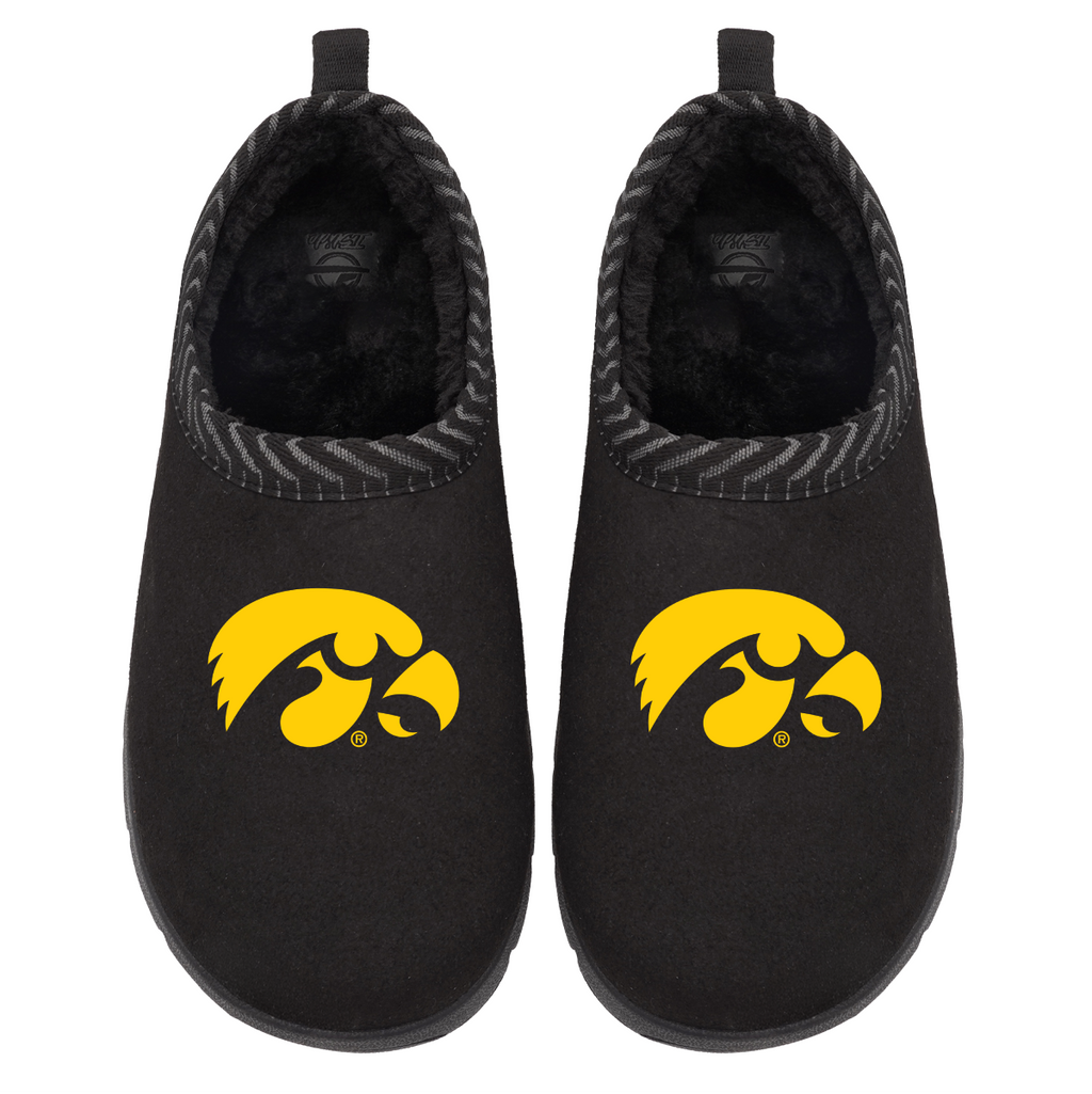 Iowa Hawkeyes Primary Logo Mission