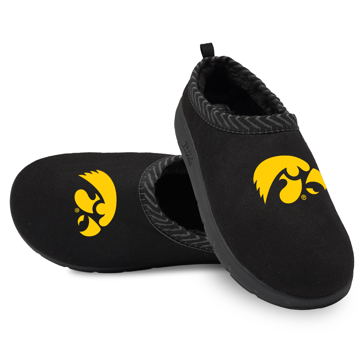 Iowa Hawkeyes Primary Logo Mission