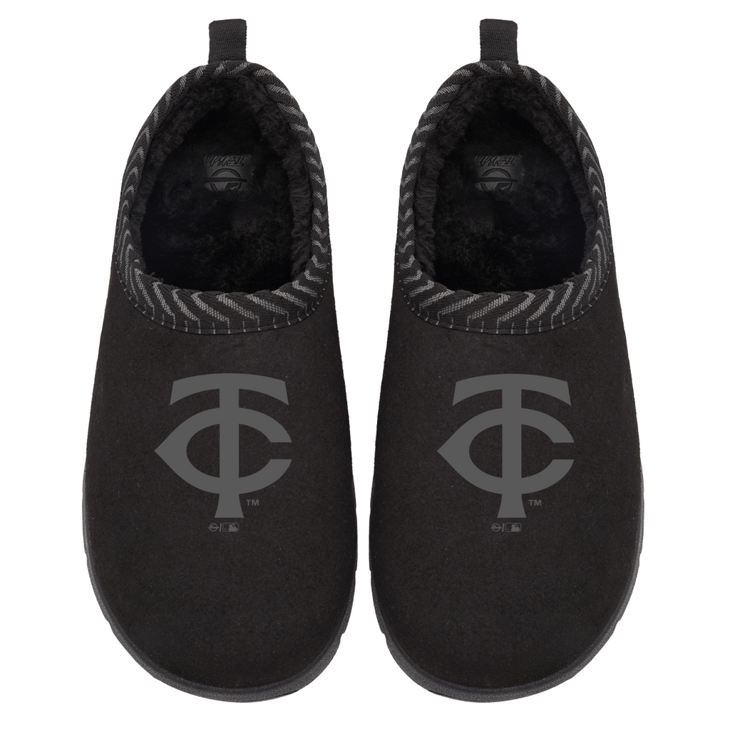 Minnesota Twins Tonal Logo Mission