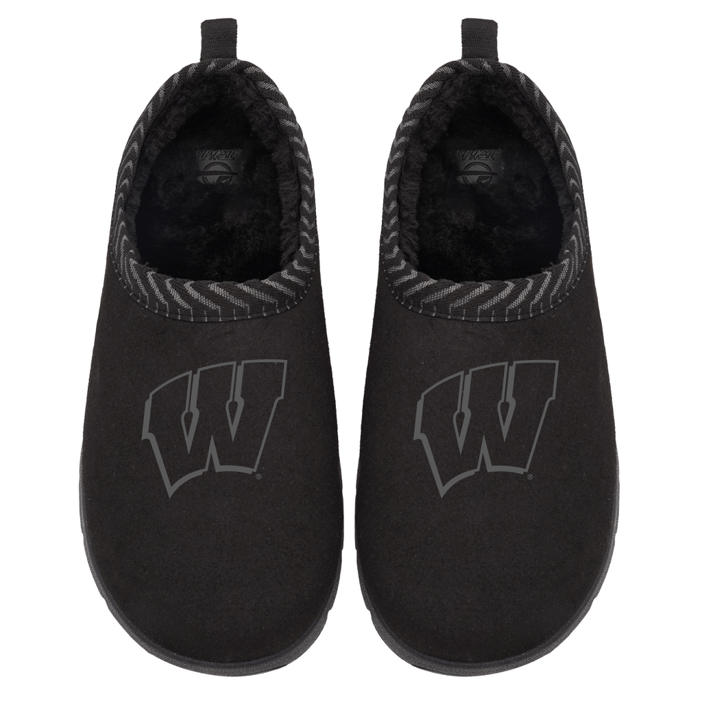 Wisconsin Badgers Tonal Logo Mission